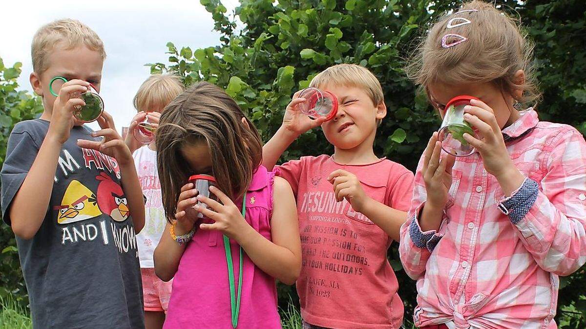 Die Natur erforschen können 6- bis 10-Jähre in den Ferien