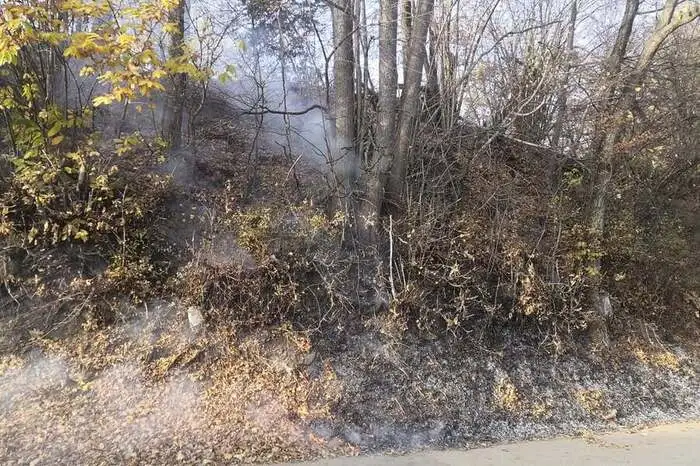 Die Feuerwehr Hohenkogl konnte mit 16 Kameraden das Feuer löschen.