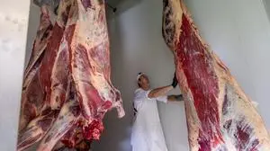 Seit September 2022 ist der Schlachthof in St. Veit in Betrieb