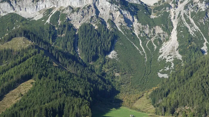 Um diese Wiese zwischen Dachsteinmassiv und dem Ramsauer Ortskern geht es