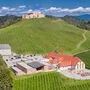 Burg und Weingut Taggenbrunn aus der Vogelperspektive