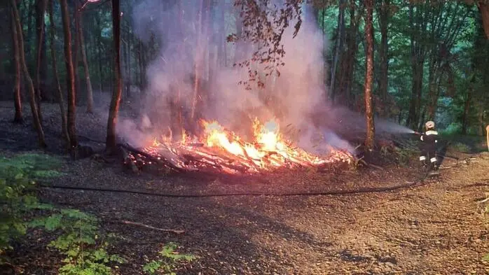 Aus unbekannter Ursache brannte ein Holzhaufen in einem Wald bei Unterlamm
