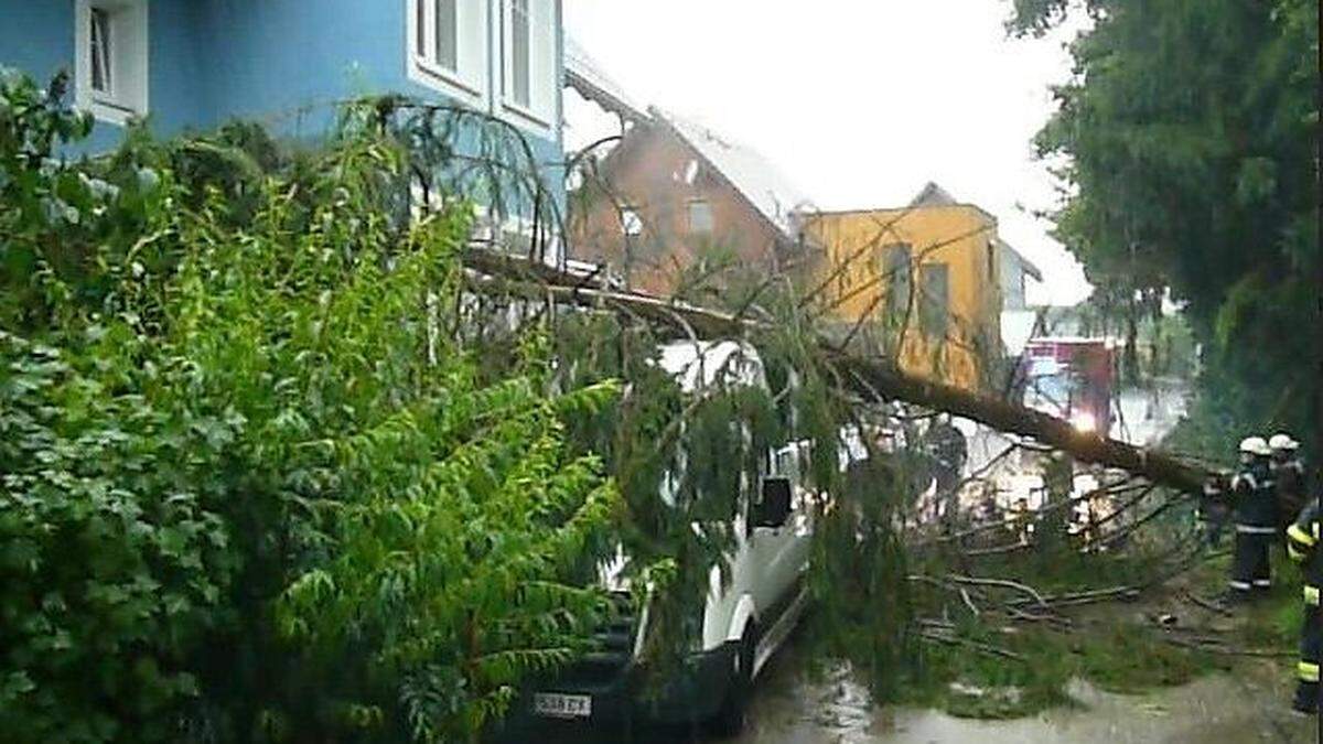 In Ettendorf stürzte ein Baum auf ein Auto