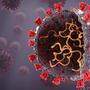 Britische Virus-Mutation wird in Österreich bald vorherrschen