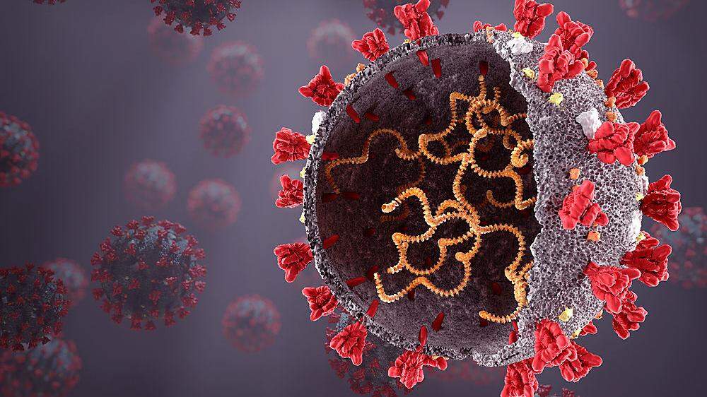 Britische Virus-Mutation wird in Österreich bald vorherrschen