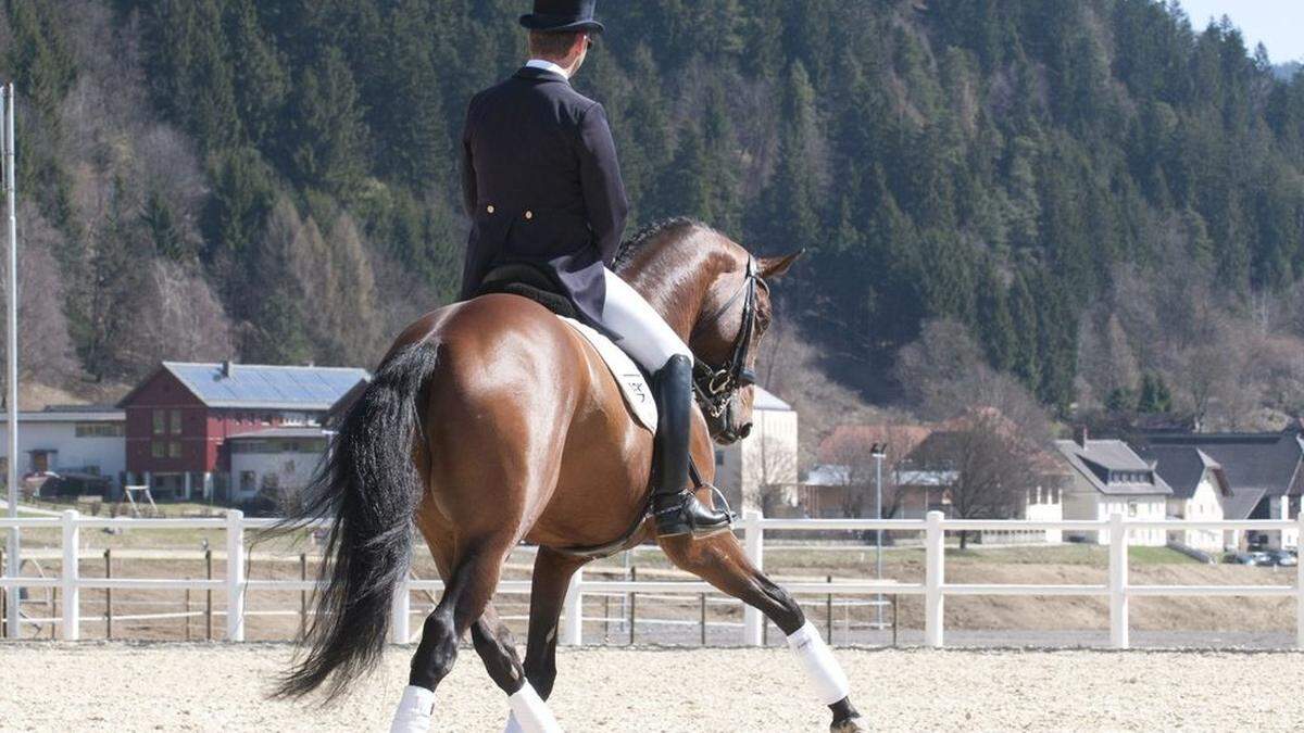 Da Reitturnier findet auf dem Glock-Anwesen in Treffen statt