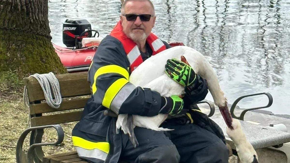 Der Schwan hatte eine Verletzung am Hals