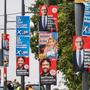 Im Wahlplakat-Wald: SPD-Niederlage und AfD-Sieg in Brandenburg erwartet