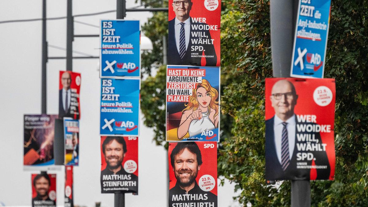 Im Wahlplakat-Wald: SPD-Niederlage und AfD-Sieg in Brandenburg erwartet