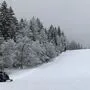 Erhebungen am Unfallort