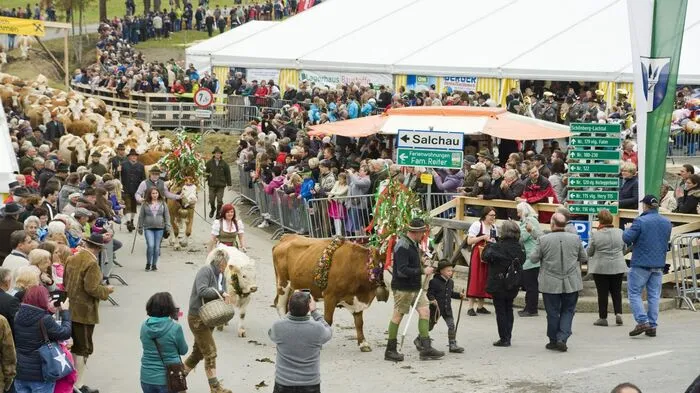 Ein Fest für Mensch und Tier: Am Samstag wurden rund 450 Tiere von fünf Almen abgetrieben. 