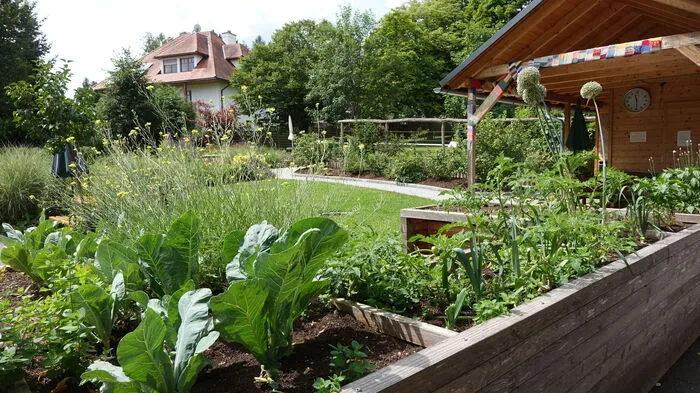 In den Hochbeeten wachsen Beern, Gemüse und Kräuter. Mittwochs wird damit gekocht.