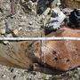 Das Kriegsrelikt wurde im September im Flussbett der Fella gefunden