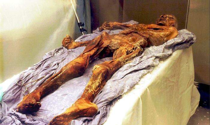 1991 in den Ötztaler Alpen entdeckt und heute das berühmteste Schaustück im Bozener Archäologiemuseum: die rund 5200 Jahre alte Mumie vom Similaun-Gletscher