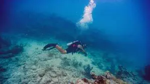 Braucht es mehr Taucher und weniger Schnorchler?