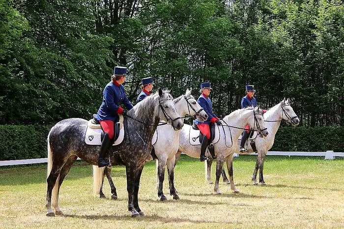 Was auch vollauf gelungen ist. An mehreren Stationen wurden den ganzen Tag über die Lipizzaner, die älteste Kulturpferderasse Europas, in ihrem Werdegang, vom Kindesalter bis hin zum Reit- und Kutschenpferd, von fachkundigen Mitarbeitern präsentiert.