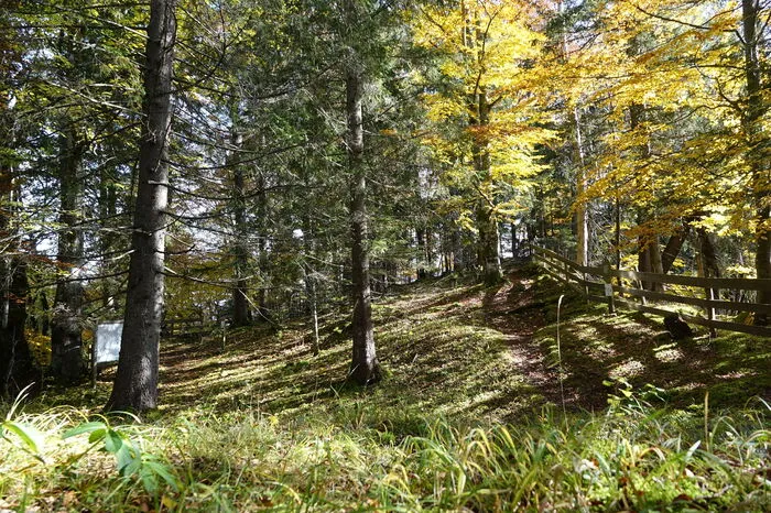 Der Archäologiepfad über der Knallwand in Rössing/Ramsau neben dem Luserwasserfall