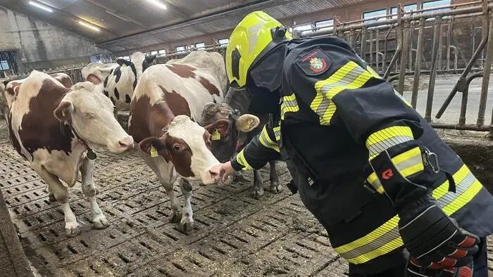 Für die nicht betroffenen Tiere gab es von den Einsatzkräften zusätzlich noch Streicheleinheiten