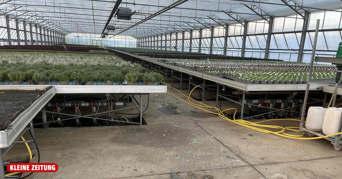 Hail: Three Million Euros in Damage for West Styrian Nursery