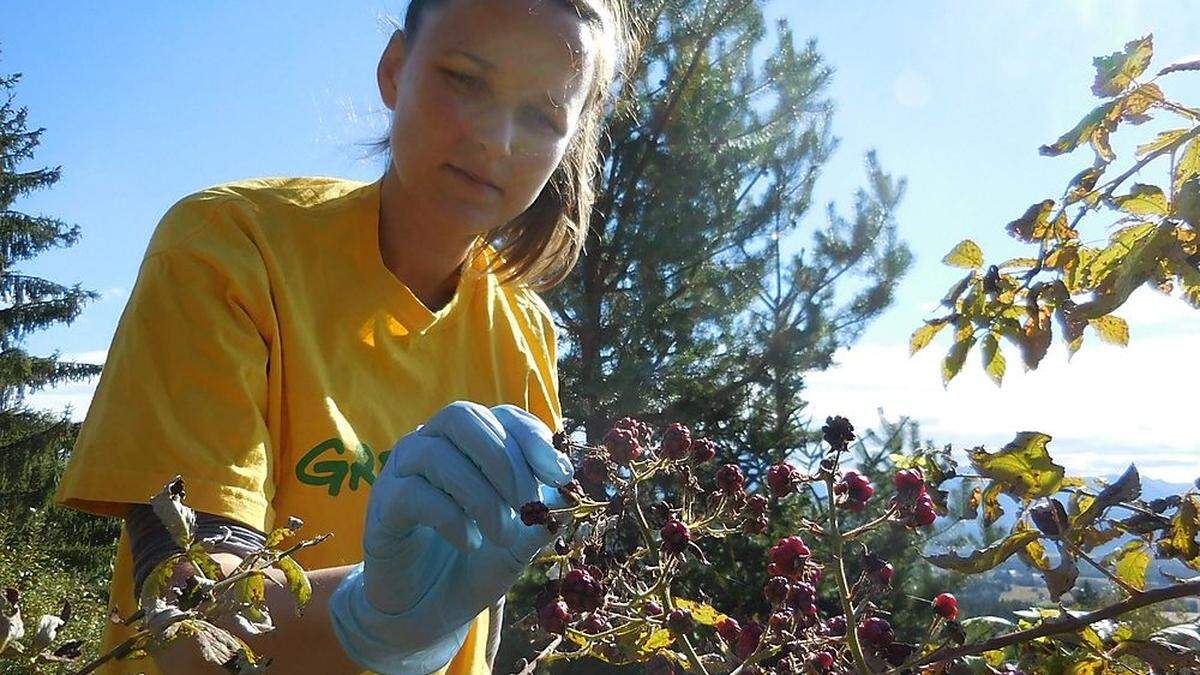 Im Oktober nahm Greenpeace die Proben