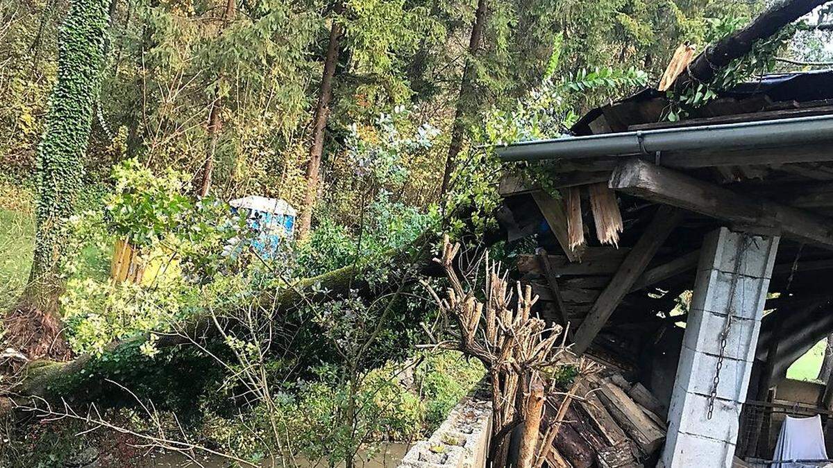 In Eisbach-Rein waren einige Bäume umgestürzt