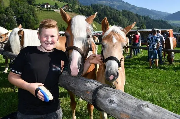 Bei der 114. Auflage des Pferdemarktes waren rund 220 Tiere der Rassen Haflinger und Noriker sowie Ponys zu sehen. 