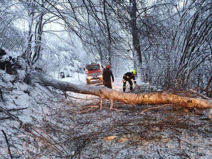 Die Feuerwehr St. Martin bei Feldkirchen war auch mit Schneidearbeiten beschäftigt