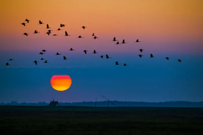 Ungarn. Das erste Welterbe der Unesco, das gleichzeitigein Lichtschutzgebiet ist, darf sich der Hortobágy-Nationalpark in Ungarn nennen. Puszta und Hirtenkultur unterm Himmelszelt. 