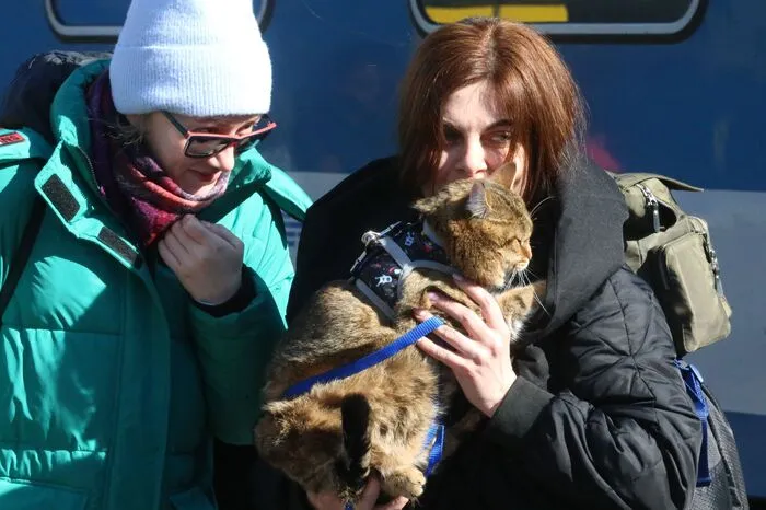 Laut Tierschutzorganisation „Peta“ blieben leider unzählige Hunde, Katzen, Meerschweinchen, Vögel in der Ukraine oder an den Grenzübergängen zurück, weil anfangs die Einreise mit Tier verweigert wurde.