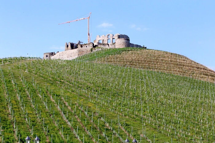 An die 600 Wirtschaftstreibende waren aus ganz Kärnten angereist, um sich am Weingut Taggenbrunn (Foto) nahe der Herzogstadt St. Veit einen Abend lang zu unterhalten. 
