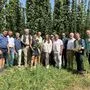 In Leutschach wurden knapp vor der Ernte die Hopfenfelder begutachtet