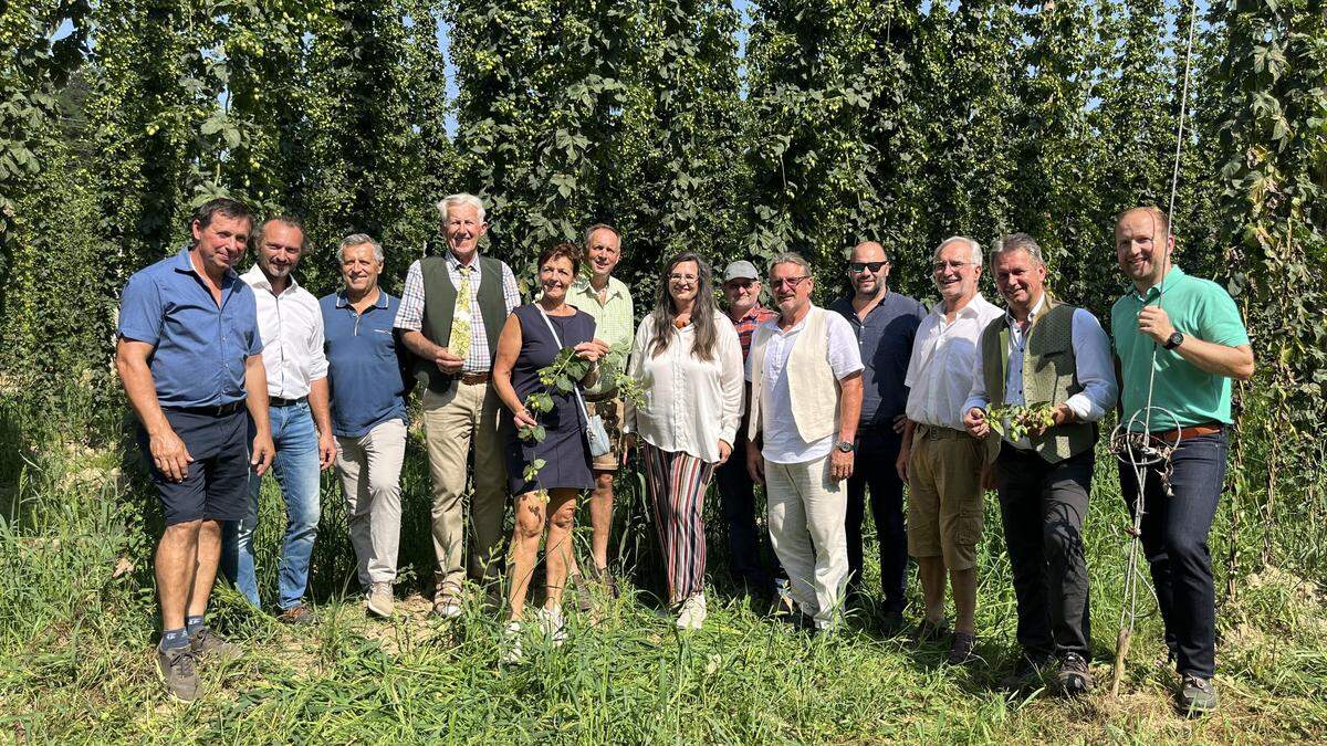 In Leutschach wurden knapp vor der Ernte die Hopfenfelder begutachtet