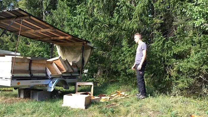Köchl und seine Bienenstöcke nach einer der vergangenen Bärenatttacken