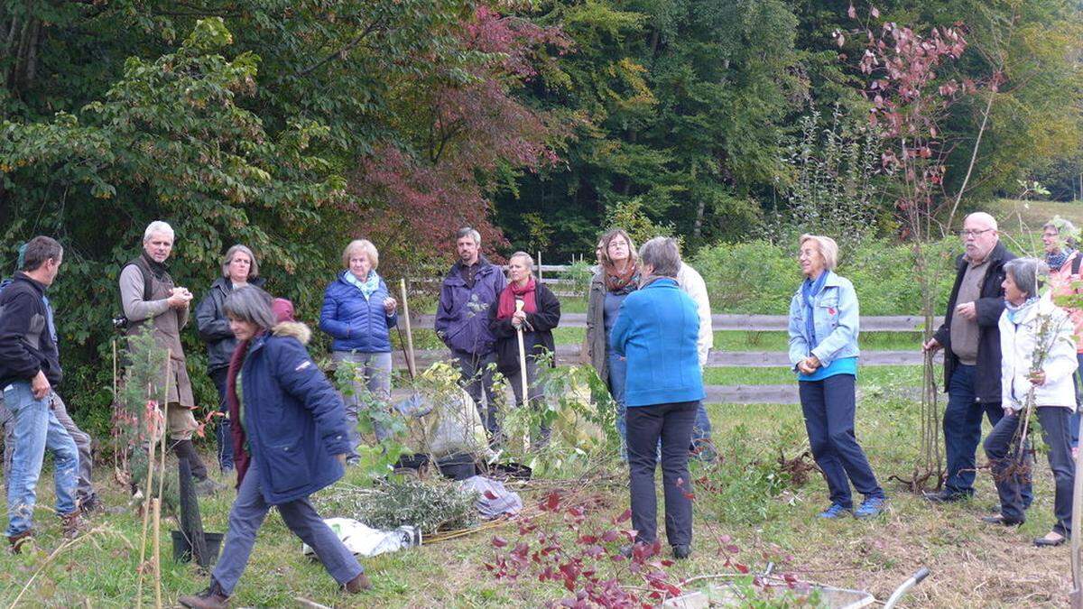 Am Hof der Bio-Landwirte Breininger im Weizer Ortsteil Krottendorf setzten Interessierte eine bunte Hecke