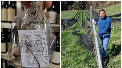 Ein Jahr nach dem Crash in den Weinreben des Kollerhofs, freut sich Harald Lieleg über neue Kundschaft