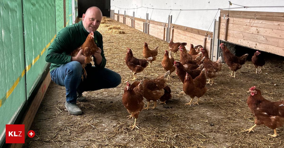 Vogelgrippe-Die-gr-te-Gefahr-sind-die-die-sich-keine-Gedanken-machen