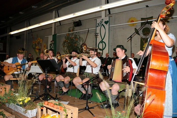Die „Hallgrafen Musikanten“ aus Bayern, die „Schnodabixn“, die „4 Buam“, der „Männergesangsverein Stallhofen“ und „Margrets Musi“ sorgten mit ihren flotten Weisen und Liedern für beste Stimmung.