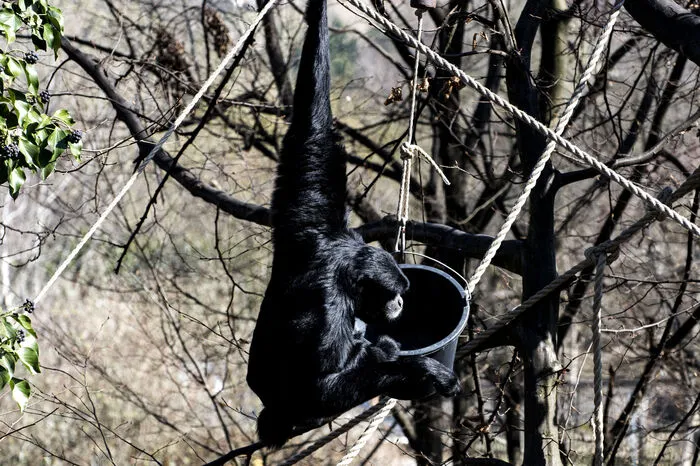 Auch all die anderen Tierparkbewohner geniessen die sonnigen Tage