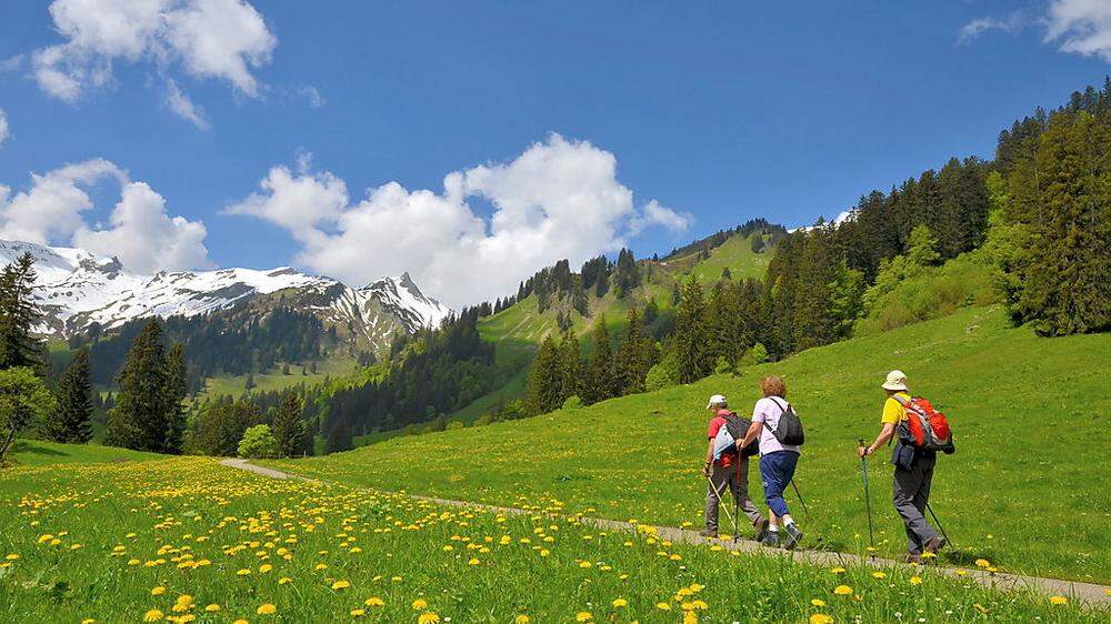 In Österreich verletzten sich jedes Jahr rund 8.800 Menschen beim Wandern und Bergsteigen so schwer, dass sie ins Spital müssen