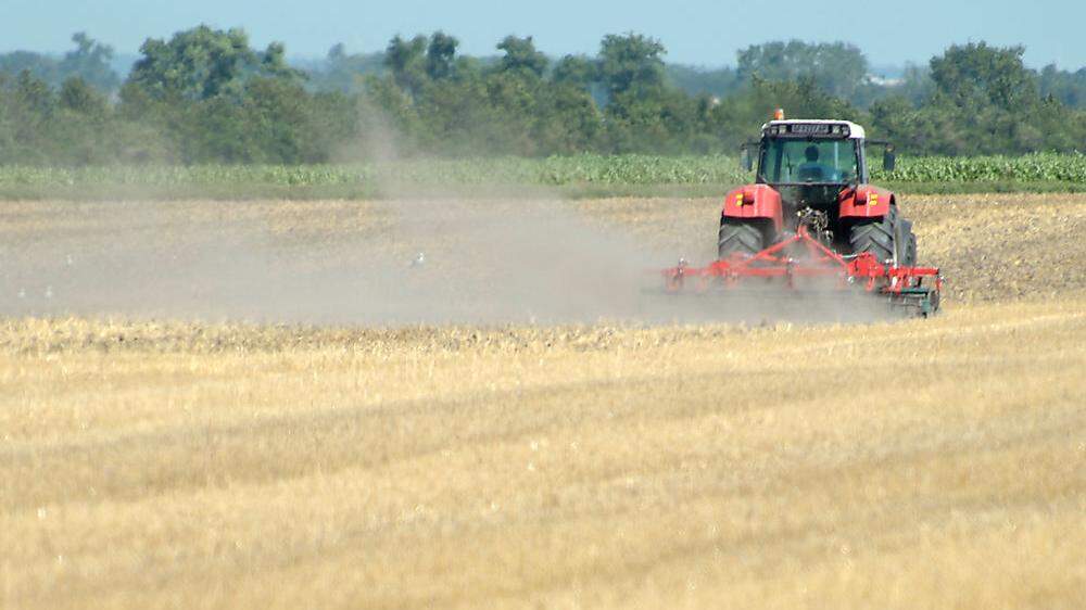 Lange Trockenphasen verursachten im Vorjahr zwölf Millionen Euro Schaden in der Landwirtschaft