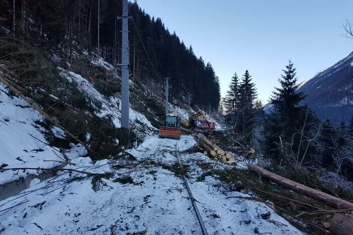 Das Unternehmen Forst- und Holzmanagement Fleißner ist für die Entfernung des Schadholzes zuständig.