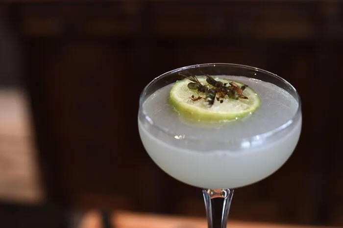 Begrüßt werden die Gäste mit einem Margarita, garniert mit essbaren Ameisen.