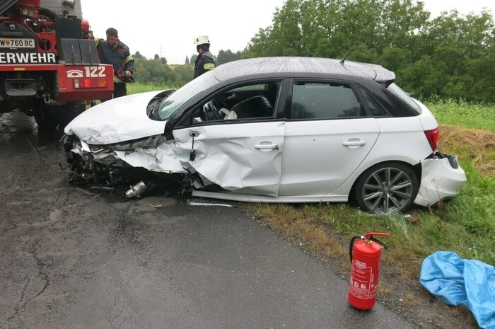 Die Absicherung und der Brandschutz des Einsatzortes wurden von der Feuerwehr Oberdorf hergestellt.