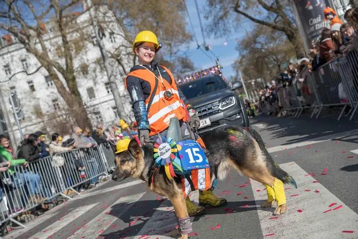 Arsa baut ab: Bauarbeiterin Polina und Bauarbeiterhund Arsa entschieden die Einzelkategorie für sich