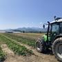 Schwierige Wetterbedingungen beeinflussten den Erfolg der Ernte