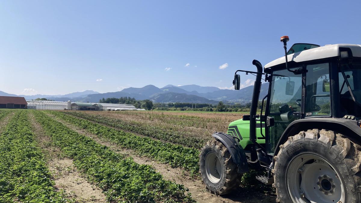 Schwierige Wetterbedingungen beeinflussten den Erfolg der Ernte