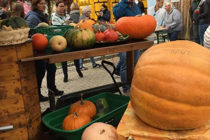 Kulinarisch wurde den Besuchern so einiges geboten.