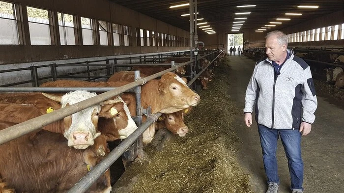 Franz Penz stellt sich gegen das schlechte Image von Rinderzucht