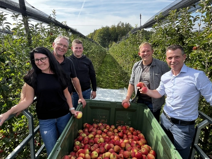 Bei der Ernte in der Apfelplantage: Bettina, Josef und Daniel Tauß mit Hansjörg Loder und Hannes Schaffler