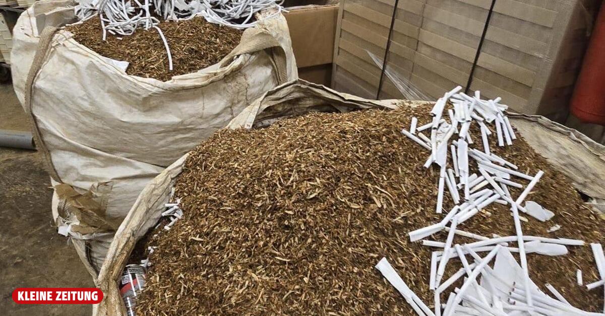 Illegal cigarette factory in Slovenia: 33 workers imprisoned like slaves